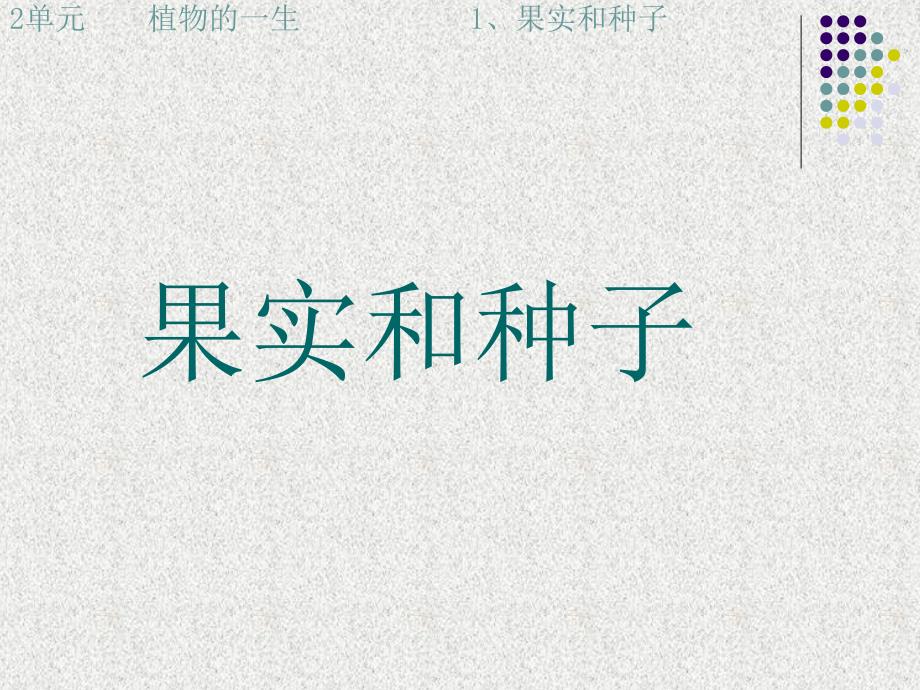 1《果实和种子》苏教版小学三下课件_第1页