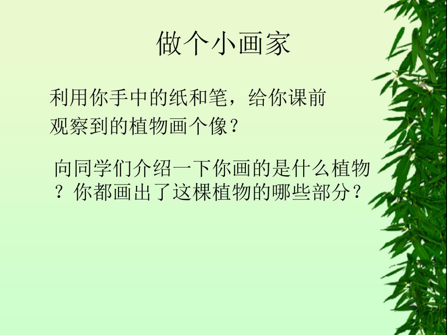 植物的身体38356_第1页