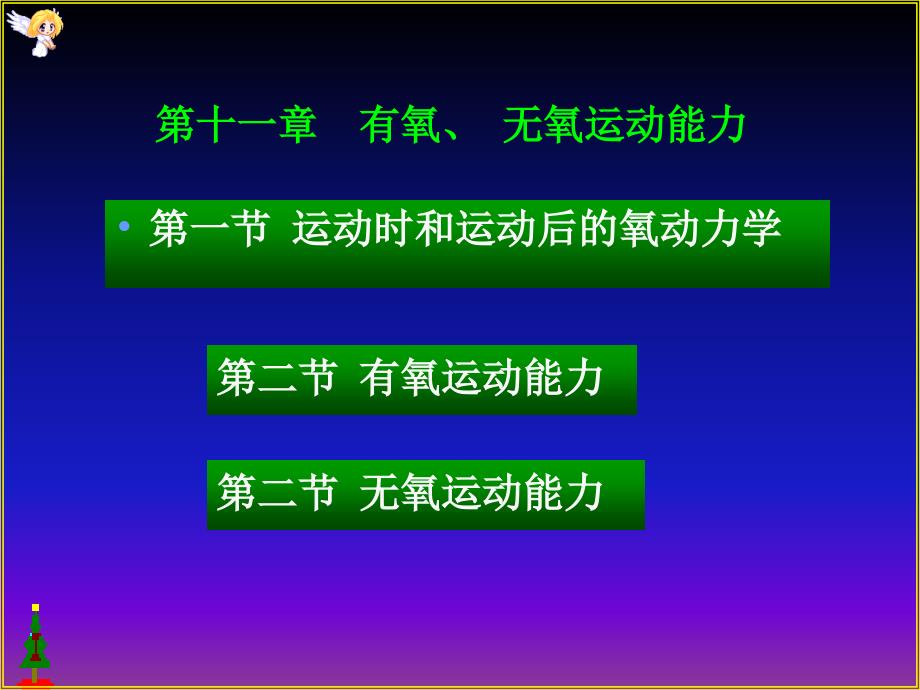 11章有氧和无氧运动能力_第1页