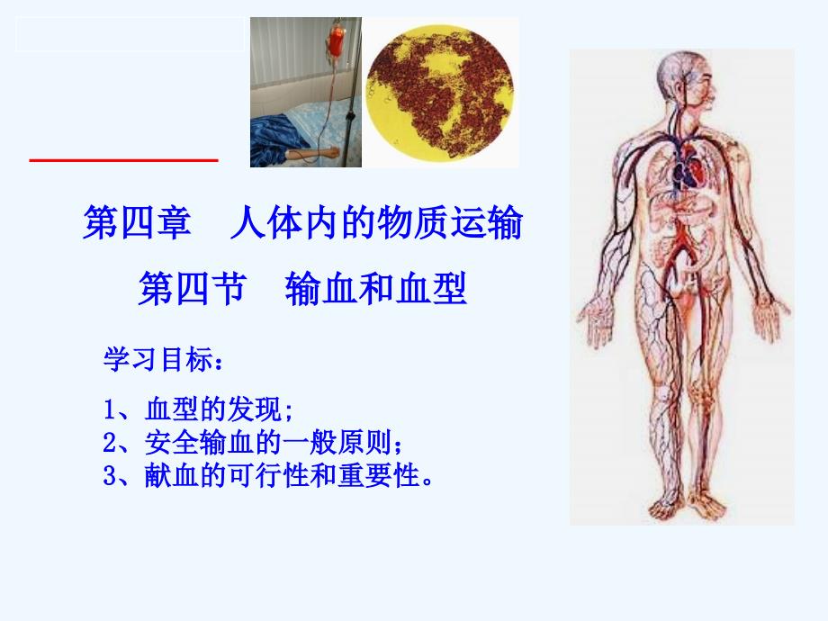 生物输血和血型人教版七年级下_第1页