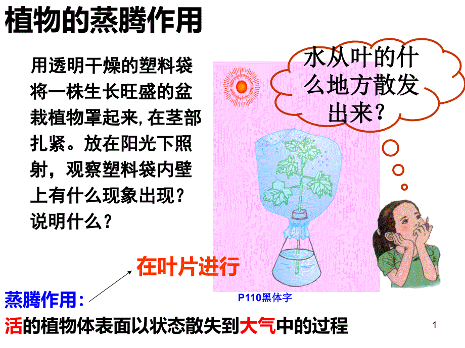 植物的三个作用_第1页