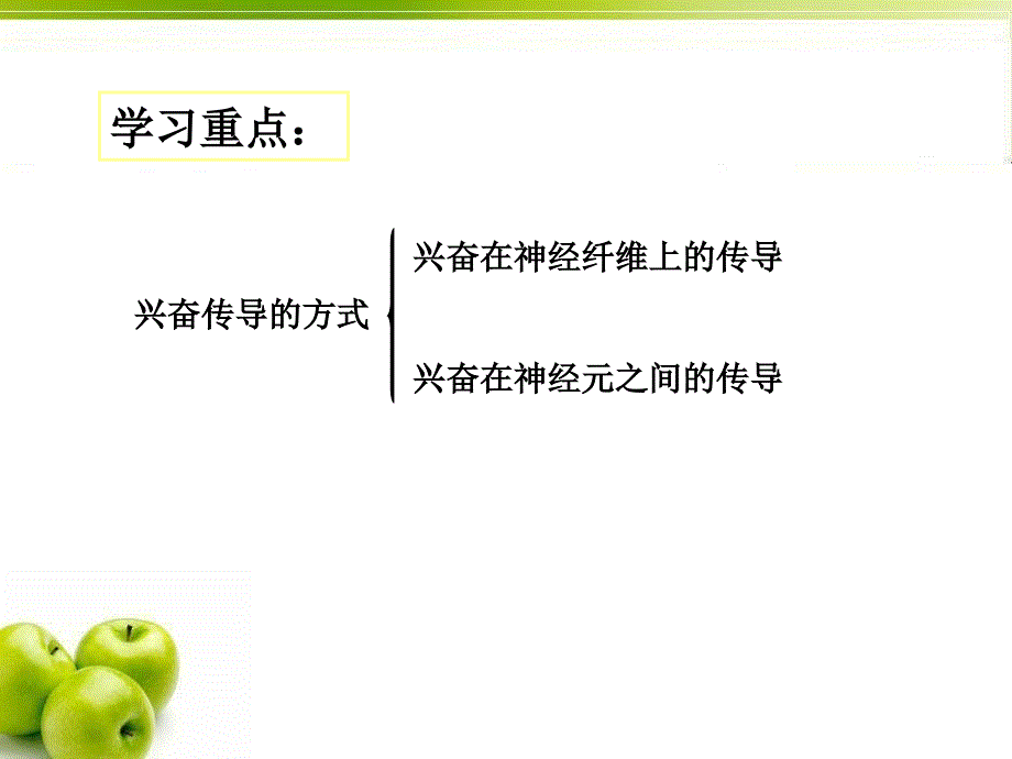 神经调节：兴奋传导的方式_第1页