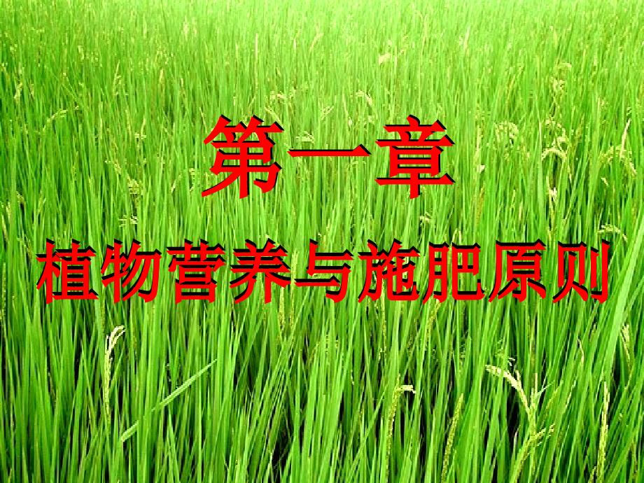 植物营养与施肥原则_第1页