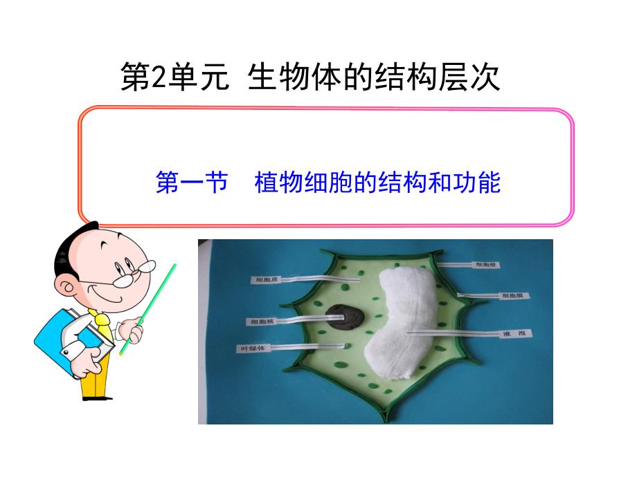 植物细胞的结构和功能_第1页