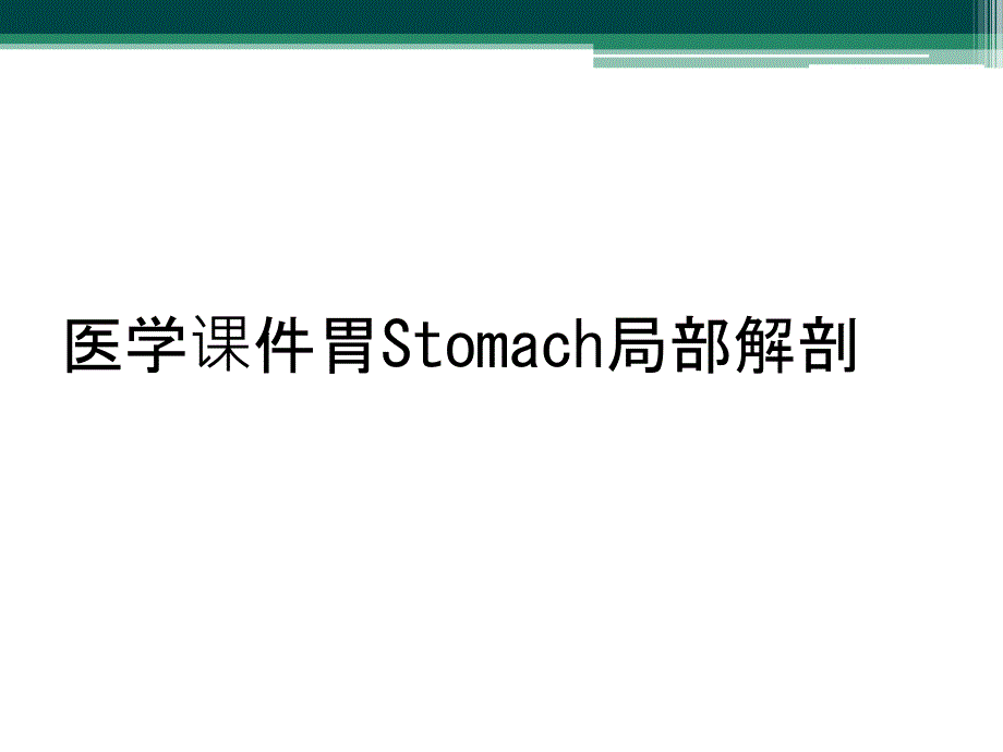 医学课件胃Stomach局部解剖_第1页