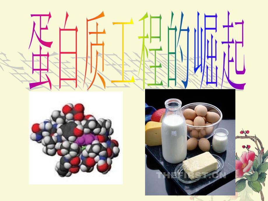 生物：1.4《蛋白质工程的崛起》2课件(新人教版选修3)_第1页