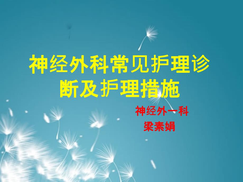 神经外科常见护理诊断和护理措施_第1页