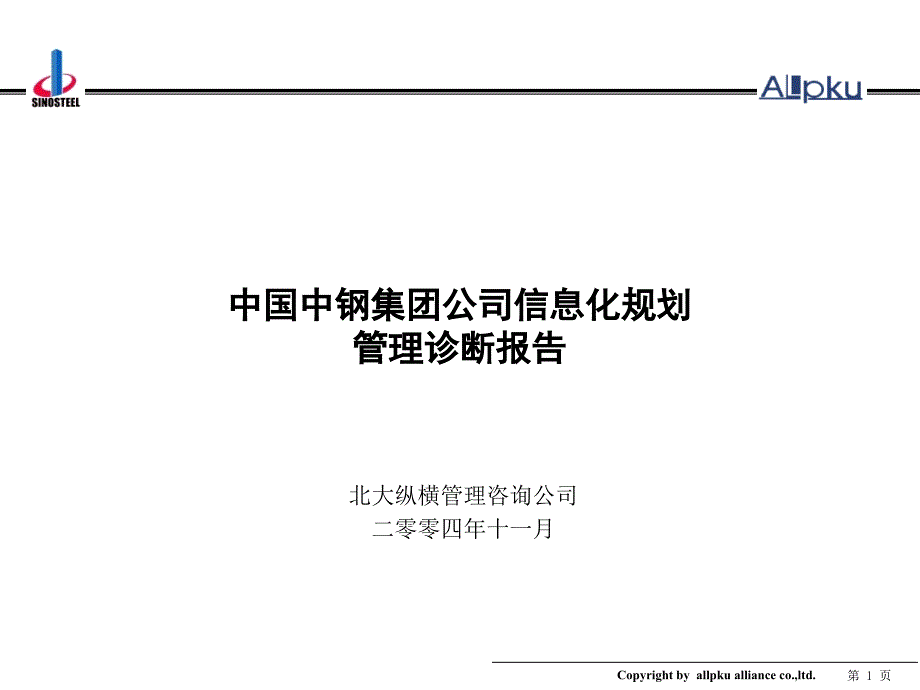 中钢集团项目诊断报告终稿_第1页