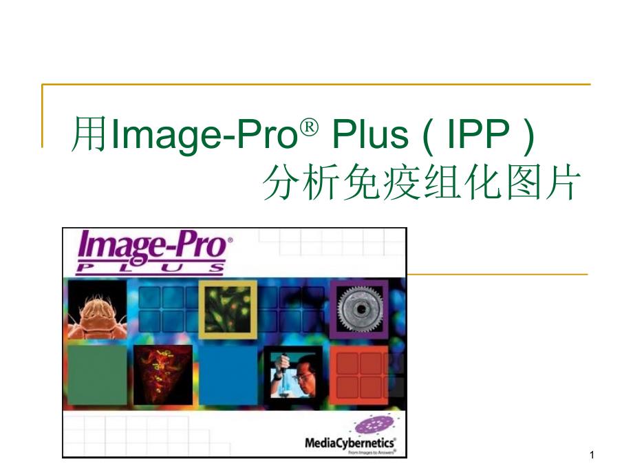 用ImagePro+Plus+分析免疫组化图片_第1页