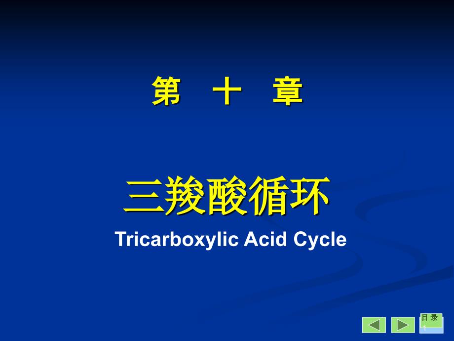 生物化学与分子生物学八年制课件11_第1页