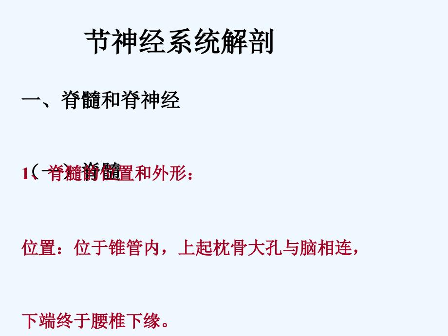 神经系统解剖医学高等教育教育专区_第1页