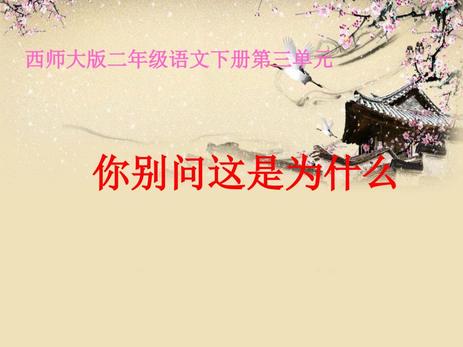 下载：西师大版二年级语文下册《你别问这是为什么》课件_第1页