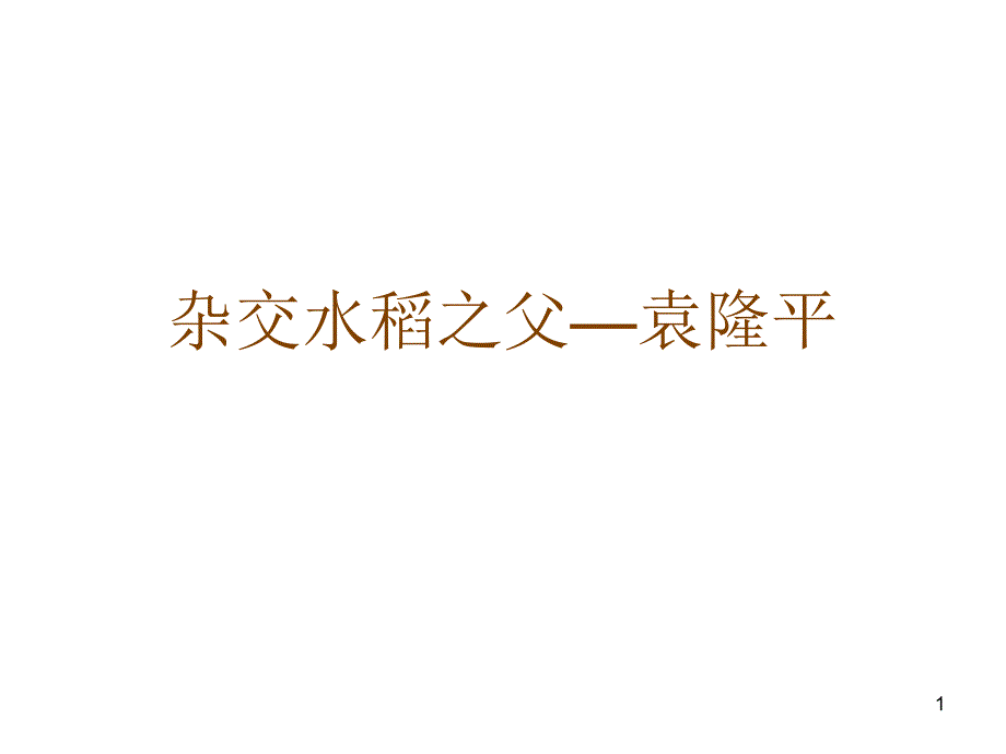 杂交水稻之父_第1页