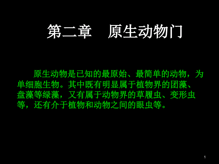 生物竞赛原始动物_第1页