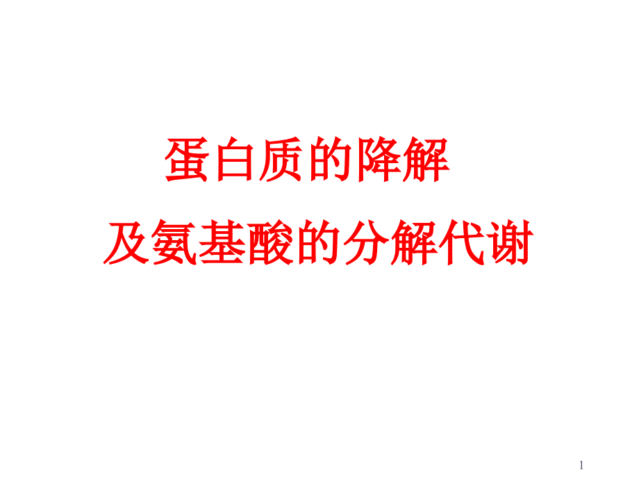 蛋白质的降解和氨基酸的分解代谢_第1页