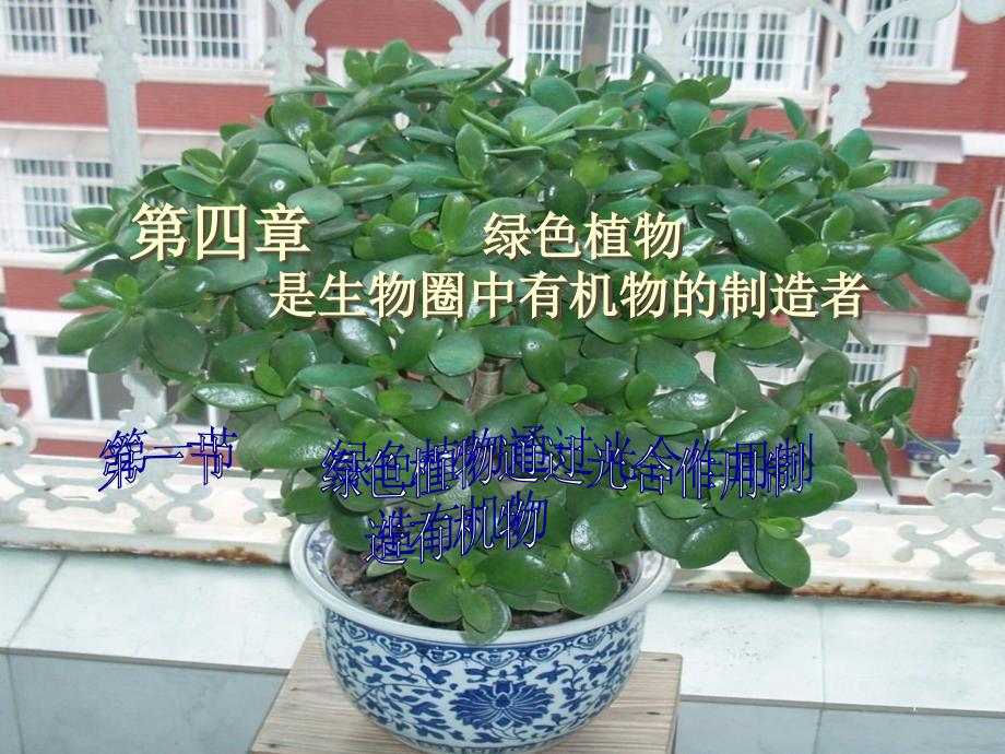 绿色植物通过光合作用制造有机物_第1页