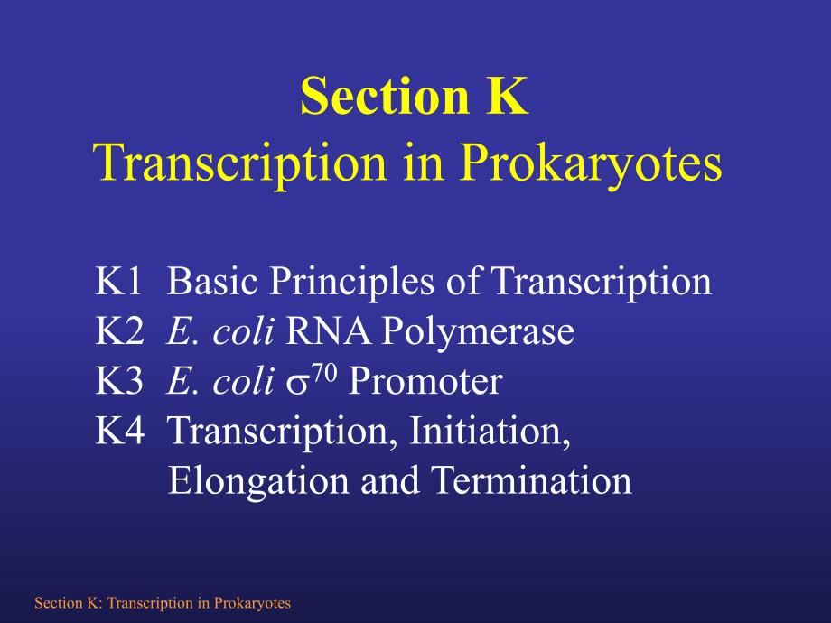 Size The s70 promoter sequence is betwee_第1页