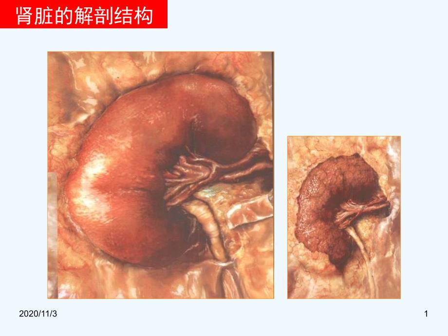 糖尿病肾病彭佑铭教授_第1页