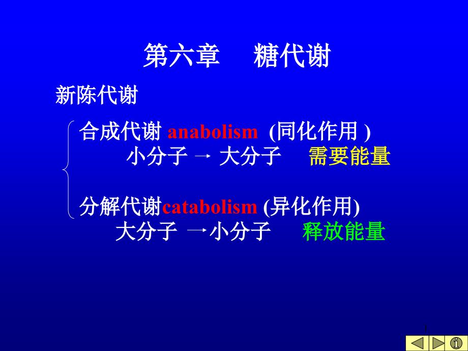 糖代谢-医学生物化学-课件_第1页