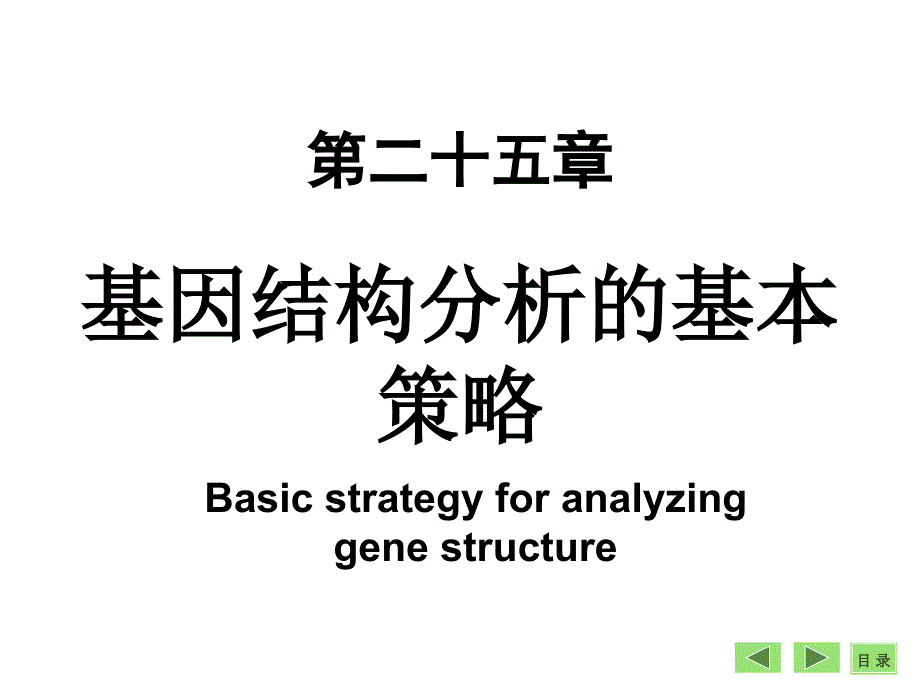 基因结构分析的基本策略分析_第1页