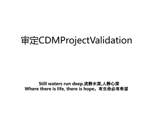 审定CDMProjectValidation