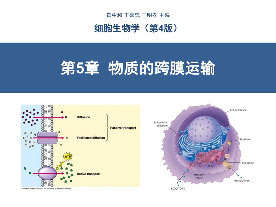 第5章物质的跨膜运输_第1页