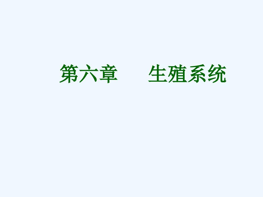 系统解剖学课件第6章生殖系统_第1页