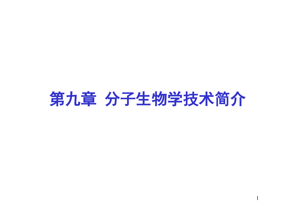 精减9分子生物学技术简介08硕_第1页