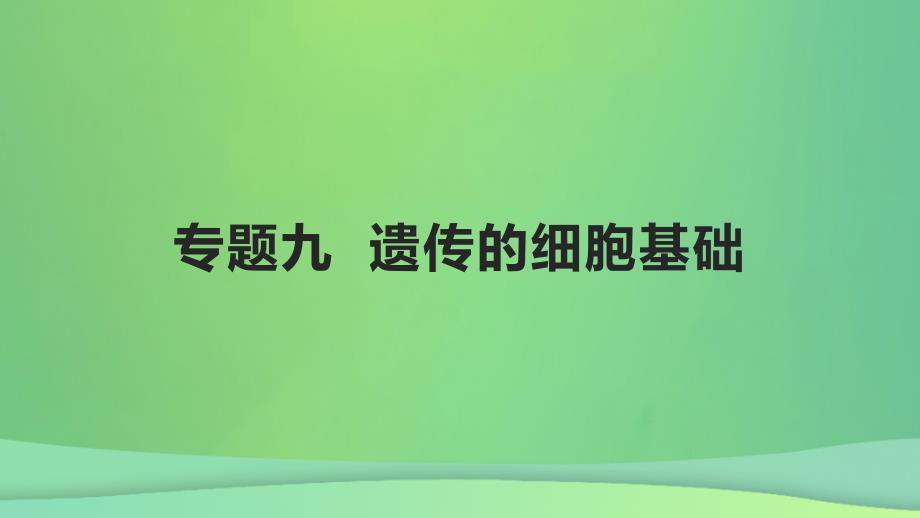 全国通用版2022年高考生物专题复习第四单元专题九遗传的细胞基次件_第1页