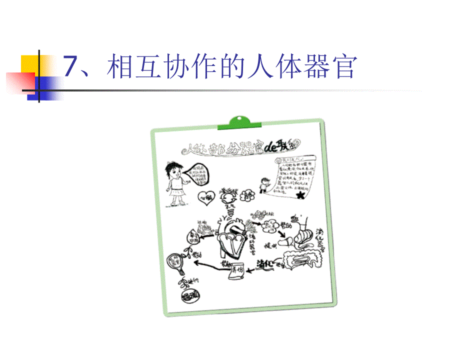 《相互协作的人体器官》课件小学科学教科版四年级上册(4)_第1页