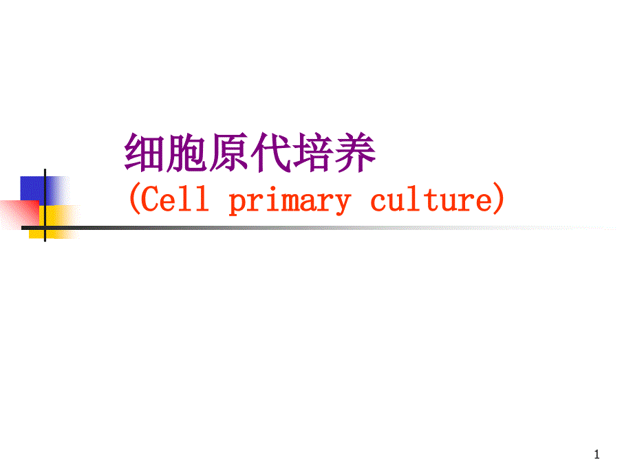 解剖小白鼠实验_第1页