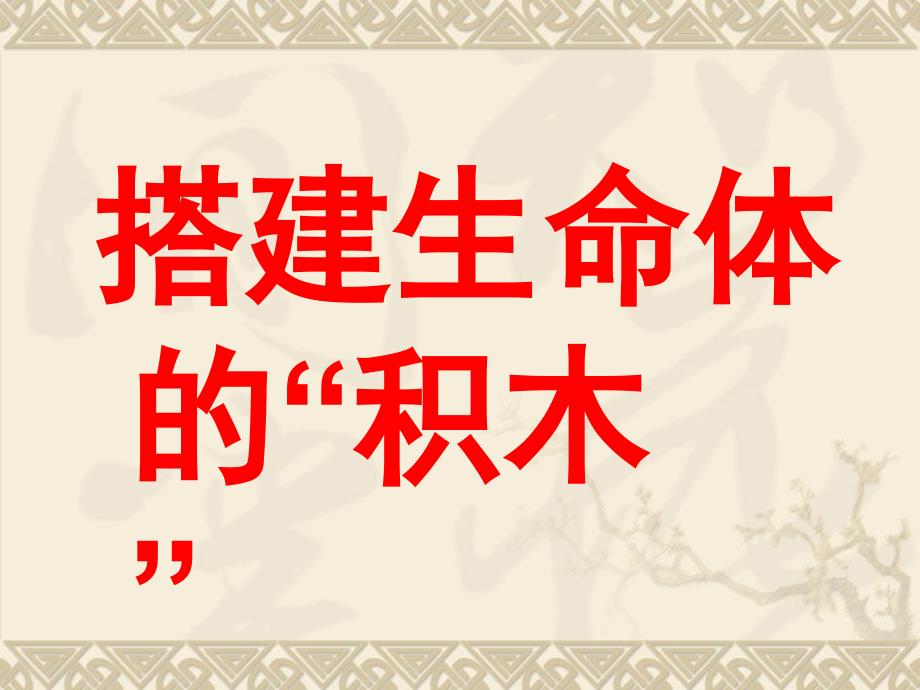 《4 搭建生命体的“积木”课件》小学科学苏教课标版六年级上册课件24537_第1页