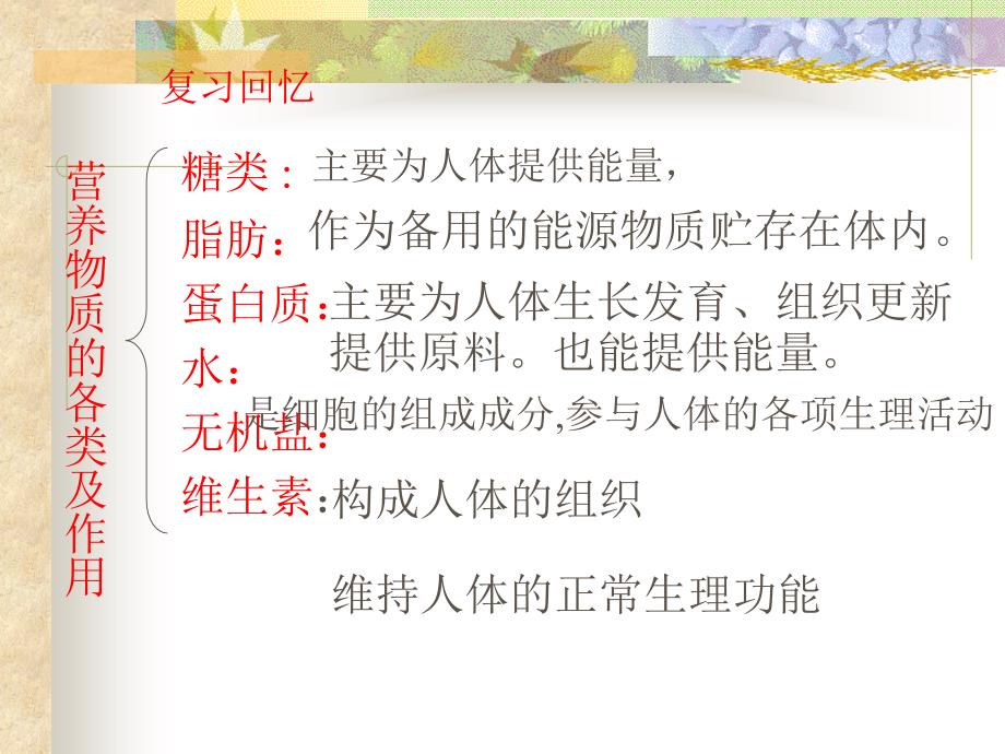 初一下册生物第二章第二节人体的消化与吸收复习资料课件_第1页