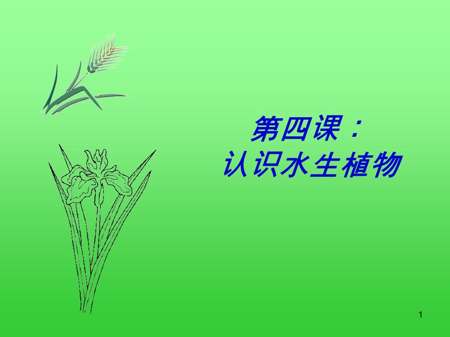 第四课：认识水生植物_第1页