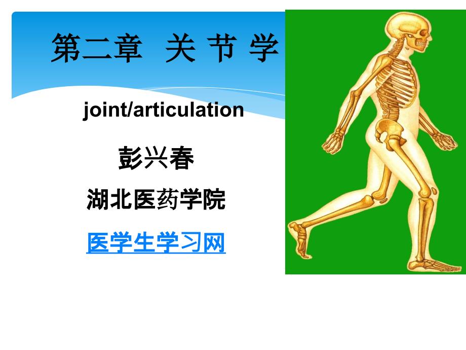 系统解剖学PPT课件关节学_第1页