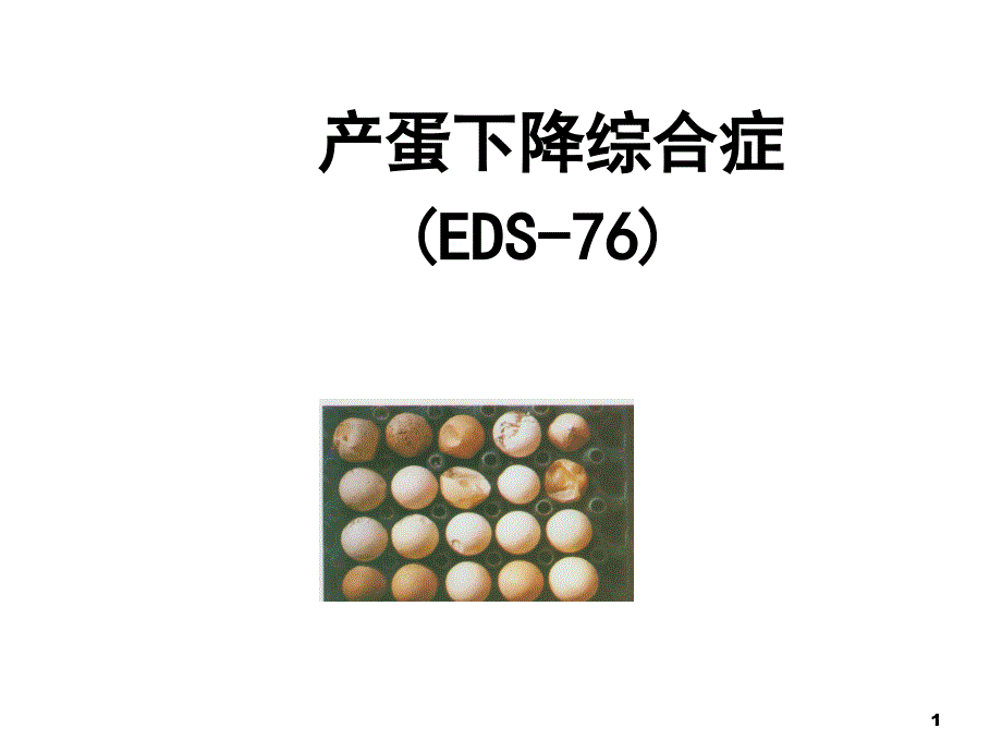 聊城大学农学院禽病学课件病毒病之EDS_第1页