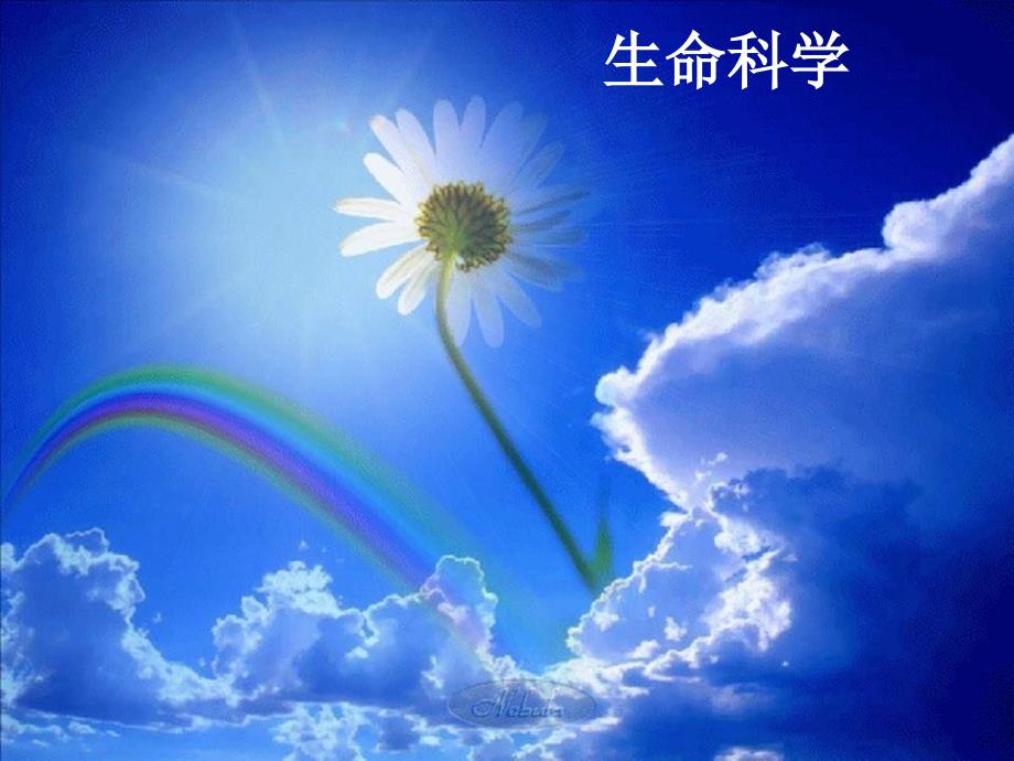 上海九年级生命科学第一节神经调节_第1页