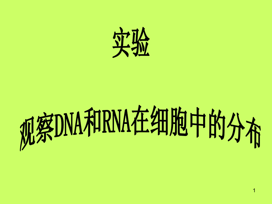 观察DNA和RNA在细胞中的分布_第1页