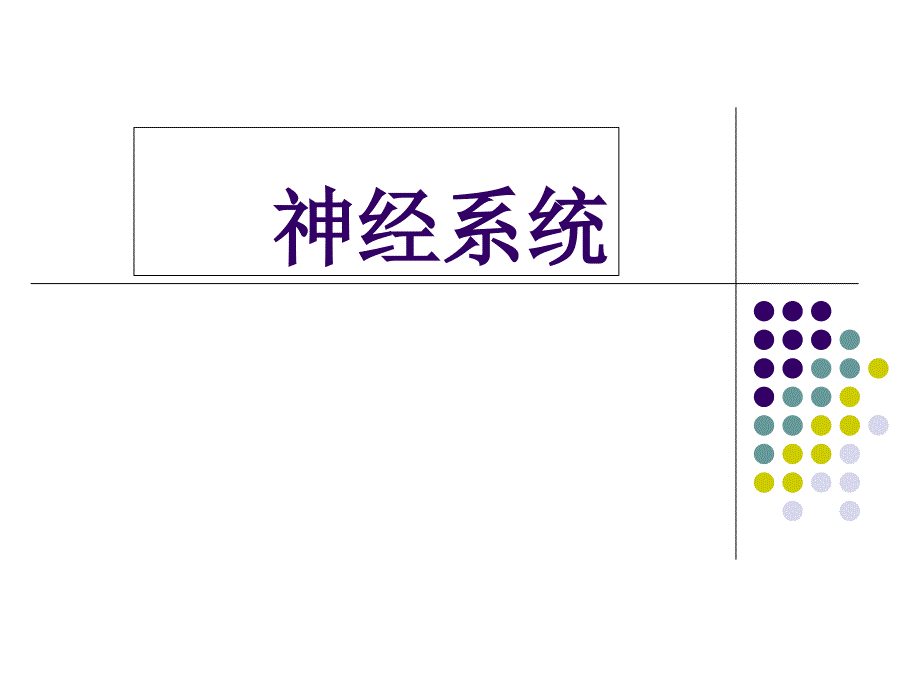 神经系统-PPT课件_第1页