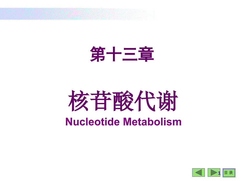 生物化学与分子生物学八年制课件14_第1页