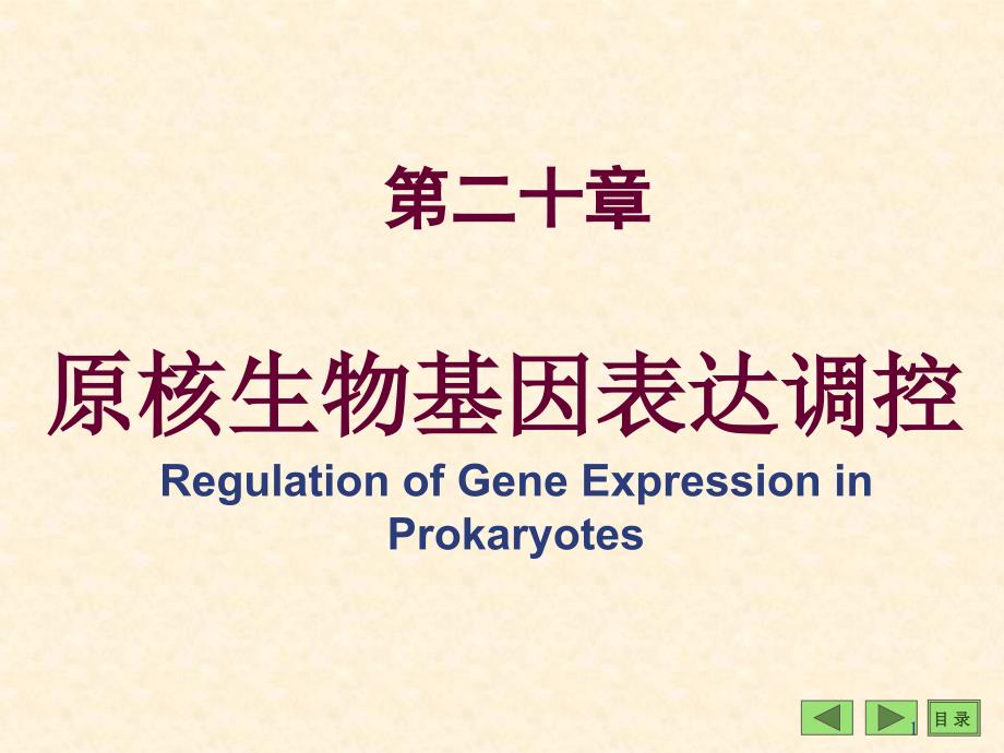 生物化学与分子生物学八年制课件21_第1页