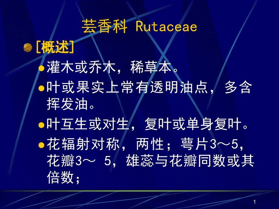 芸香科 (Rutaceae)_第1页