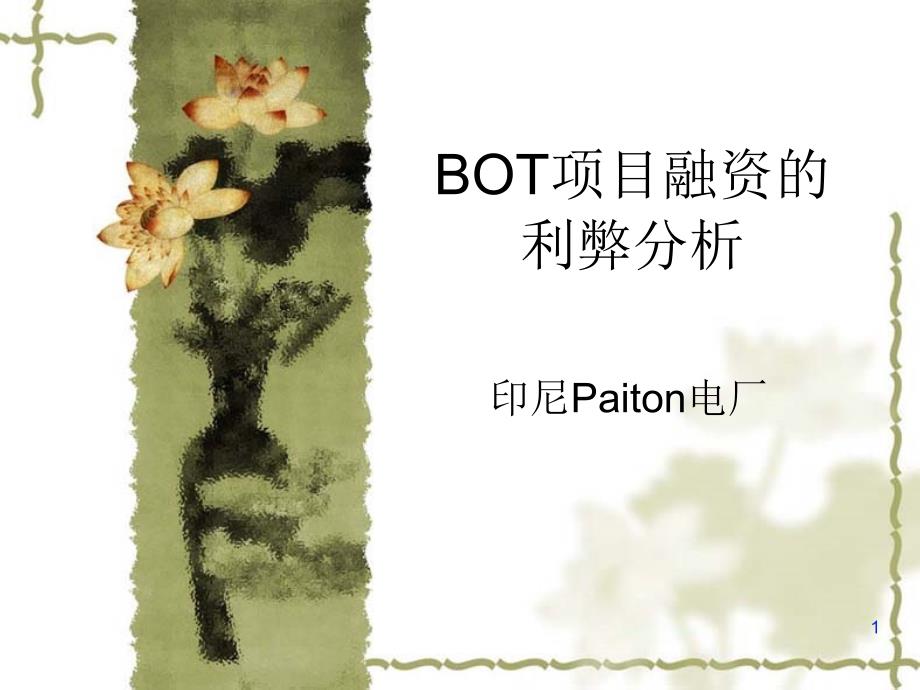 印尼电厂——BOT 项目融资_第1页