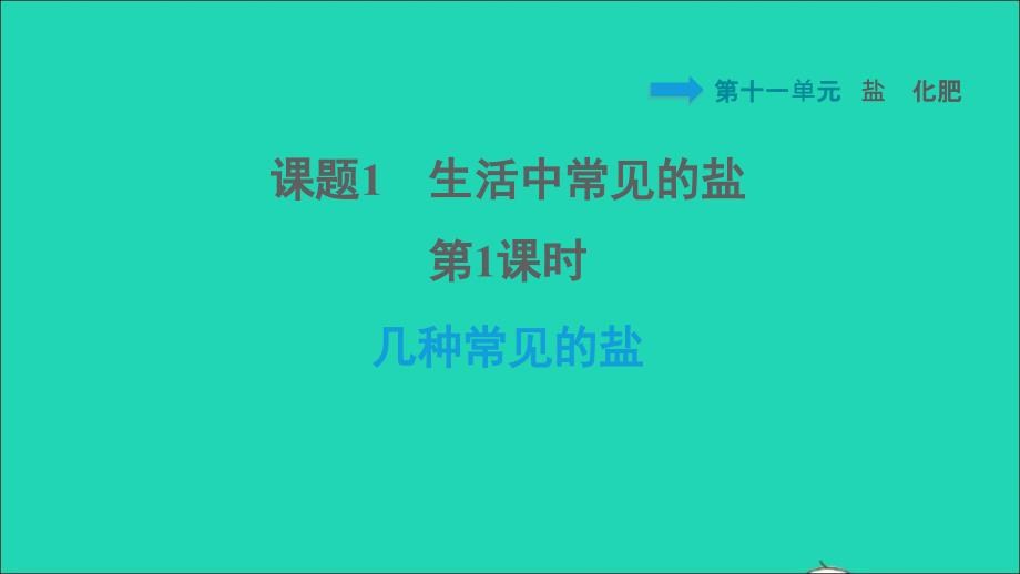 2022九年级化学下册第11单元盐化肥课题1生活中常见的盐第1课时几种常见的盐习题课件新版新人教版20220608448_第1页