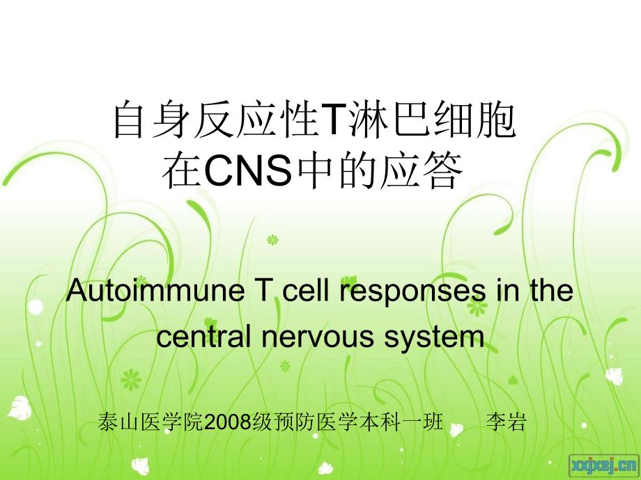 自身反应性T淋巴细胞在中枢神经系统的应答_第1页