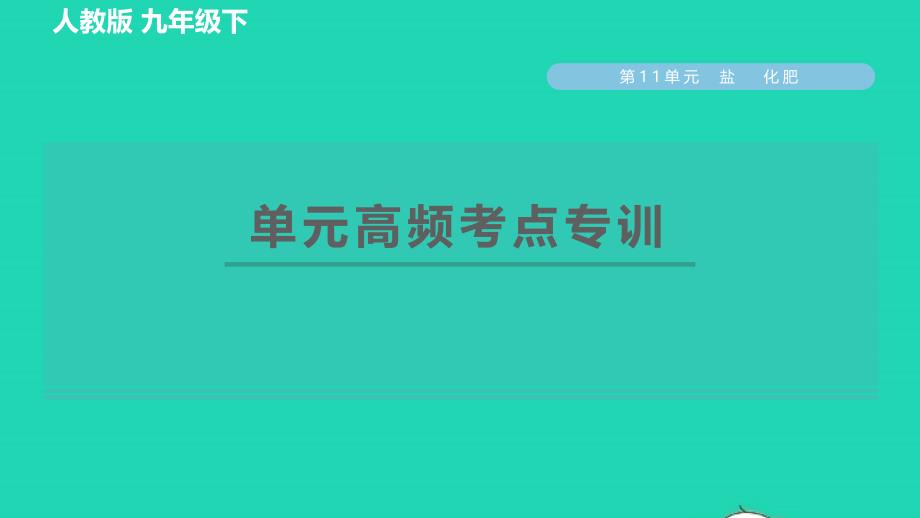 2022九年级化学下册第11单元盐化肥单元高频考点专训习题课件新版新人教版_第1页