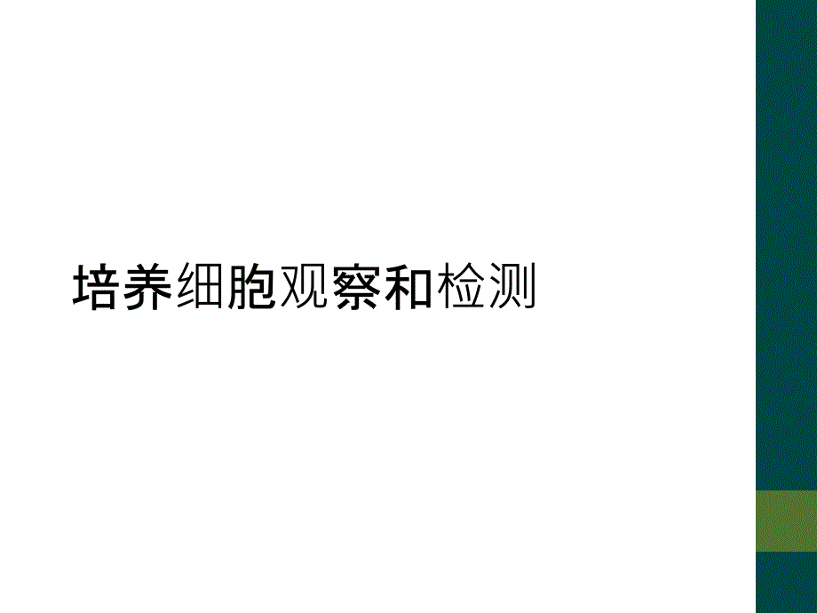 培养细胞观察和检测_第1页