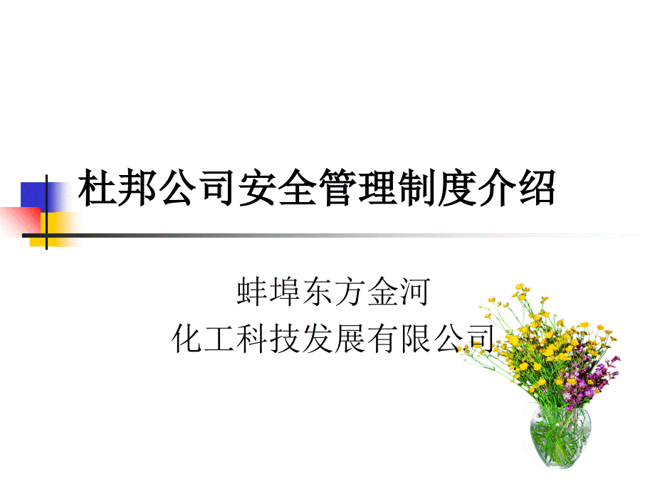 杜邦公司安全管理制度介绍_第1页