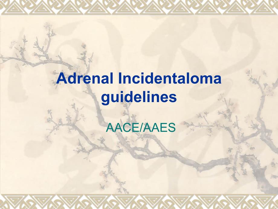 肾上腺意外瘤指南Adrenal Incidentaloma guidelines_第1页