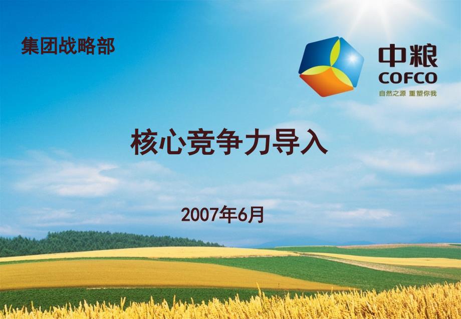 中粮集团构建核心竞争力模板,宁高宁董事长倾情奉献_第1页